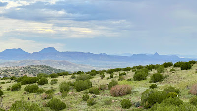 Tract 56, Sierra La Rana, Alpine, TX 79830 photo 13