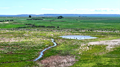 Oasis Farms photo 50