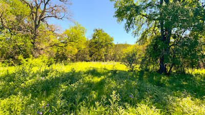 Oakalla Hills Ranch photo 27