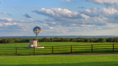 Martin Ranch photo 38
