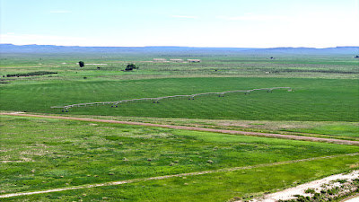 Oasis Farms photo 9