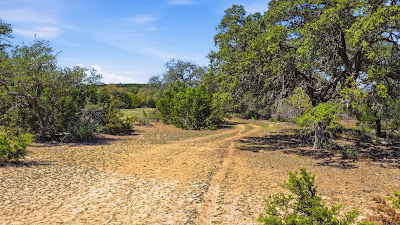 11387 FM 32 photo 37