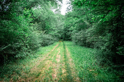 Whistle Stop Ranch photo 98