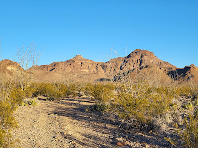 Terlingua Ranch track 38 gate 2 photo 7
