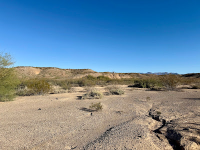 Rugged West Texas Getaway photo 11