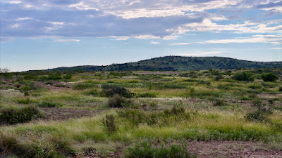 Tract 11, Sierra La Rana, Alpine, TX 79830 photo 5