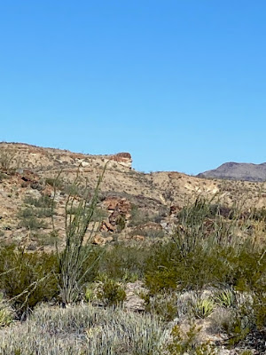 Terlingua Ranch track 38 gate 2 photo 21