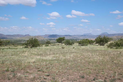 Tract 32, Sierra La Rana, Alpine, TX 79830