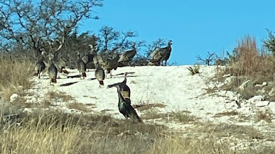 Lonesome Draw Ranch North photo 38