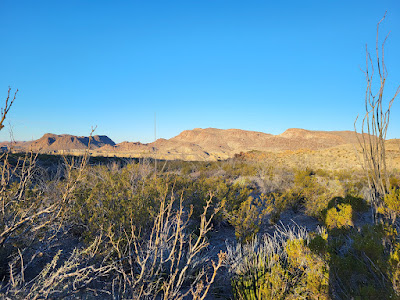 Terlingua Ranch track 38 gate 2 photo 11