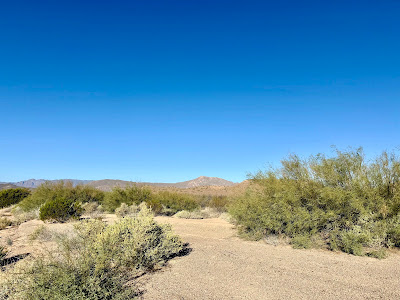 Rugged West Texas Getaway photo 4