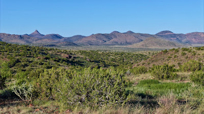 Tract 57R, Sierra La Rana, Alpine, TX 79830