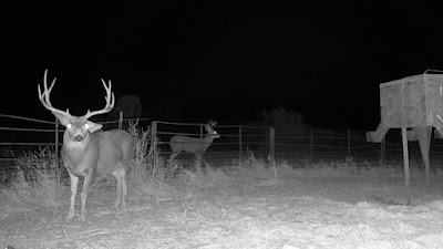 Cinco Valles Ranch photo 16