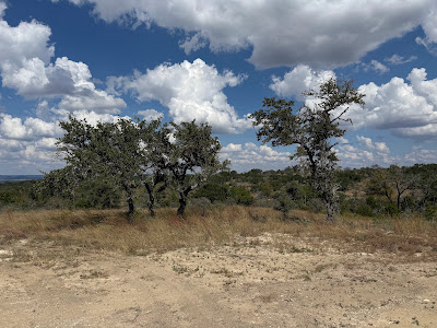 Winans Creek Lot 73 photo 8