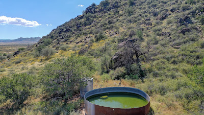 Lizard Mountain Ranch photo 35