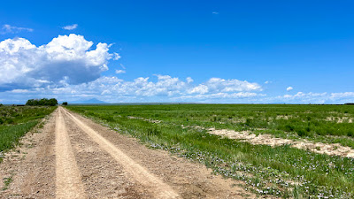 Oasis Farms photo 85