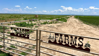 Oasis Farms photo 31