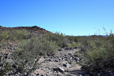 23031 FM 170 photo 28