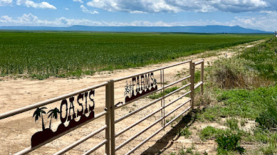 Oasis Farms photo 32