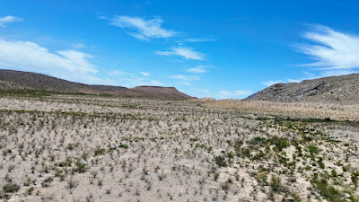 Seahorse Ranch photo 14