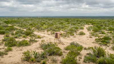 West Verde Ranch photo 9