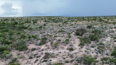 Lobo Trail Ranch photo 13