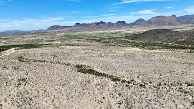 Seahorse Ranch photo 13