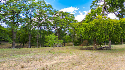 River Bend Ranch photo 16