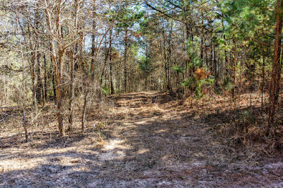 1609 C R 246 S photo 37