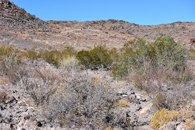 23031 FM 170 photo 19