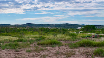 Tract 85, Sierra La Rana, Alpine, TX 79830 photo 4