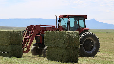 Oasis Farms photo 87
