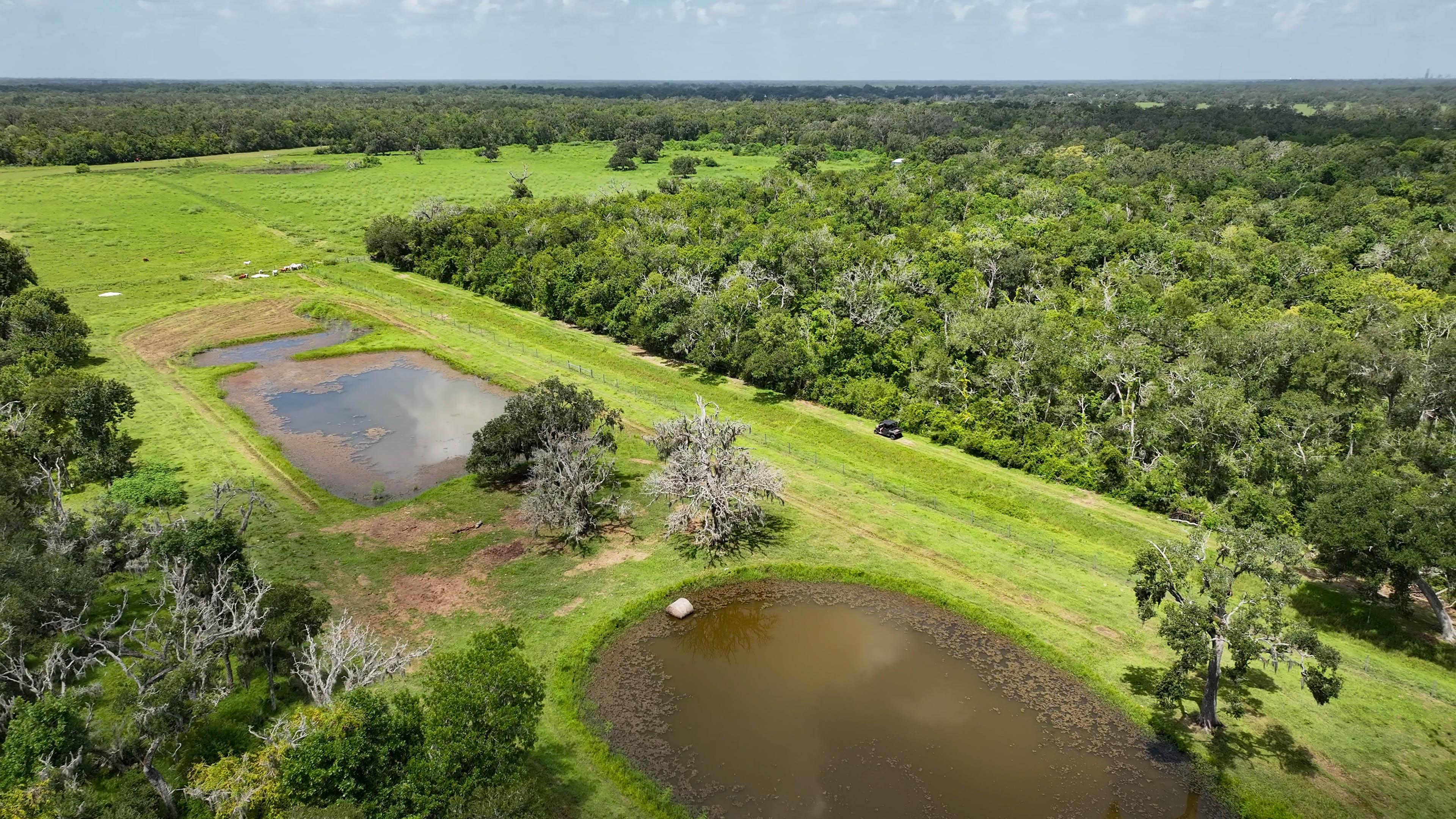 Texas ranch land aerial view with stock tank pond and pasture illustrating water rights importance for landowners