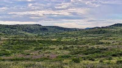 Tract 7, Sierra La Rana, Alpine, TX 79830 photo 10