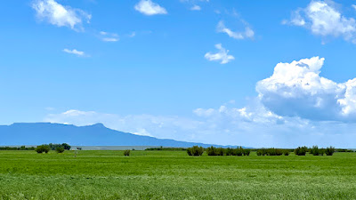 Oasis Farms photo 29