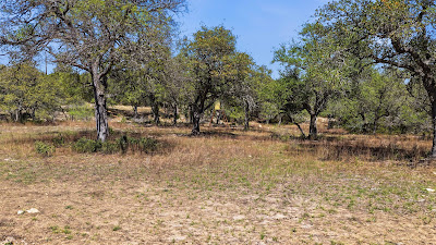 11387 FM 32 photo 27