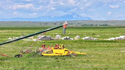 Oasis Farms photo 22