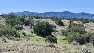 Tract 111, Sierra La Rana, Alpine, TX 79830 photo 8