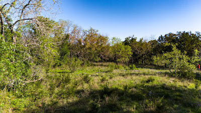 Settlement Branch Ranch photo 51