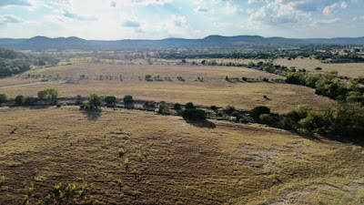 Winans Creek Lot 67 photo 6