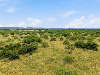 TBD State Hwy 16 Strawn, Texas photo 13