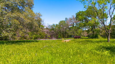 Oakalla Hills Ranch photo 1