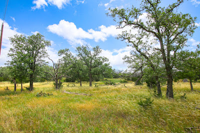 Rancho de Cacería photo 28