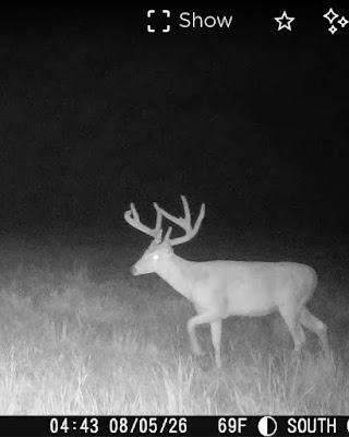 The Kennedy Ranch photo 64