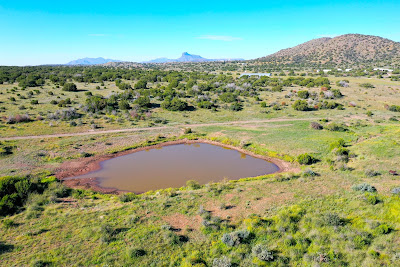 Greenbriar Ranch photo 2
