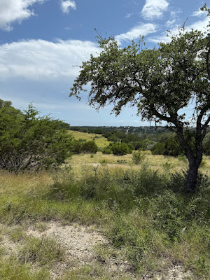Loma Vista Ranchette