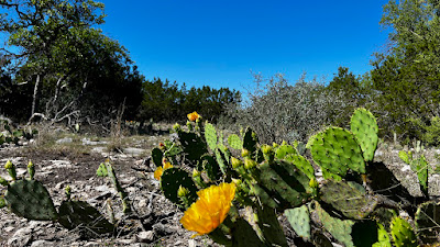 South Bear Creek Ranchette, Kimble County, Texas