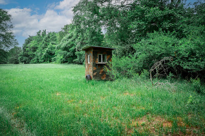 Whistle Stop Ranch photo 91