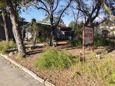 The Little Nature Store photo 6