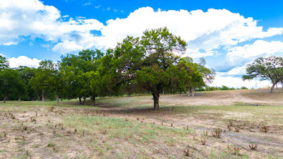 River Bend Ranch photo 18